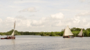 Sailing boats on Ranworth Broad 2