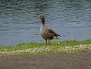 DSC00105