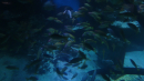 DSC00816