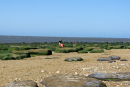 P1000954