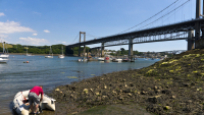 The Tamar River & Bridge