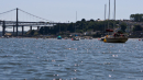 Tamar-Bridge-3