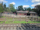Train ride 1.JPG